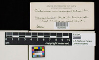 Image Associated With the Occurence